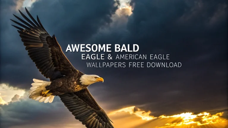 Awesome Bald Eagle & American Eagle Wallpapers Free Download
